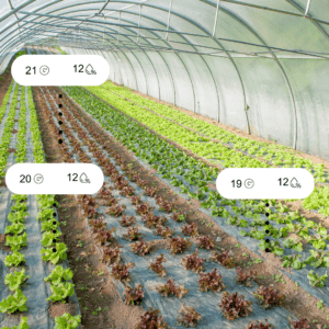 אוגר נתונים טמפרטורה ולחות